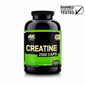 Optimum Nutrition Creatine Caps Elite Brasil | DK1589376